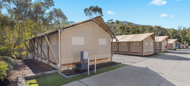 比格 4 亚拉谷公园大道假日公园酒店(Big4 Yarra Valley Park Lane Holiday Park)图片