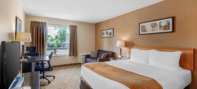 舒适酒店(Comfort Inn)图片