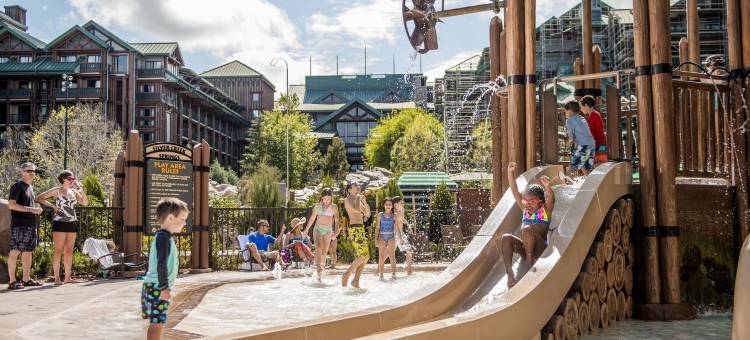 迪士尼荒野小屋(Disney's Wilderness Lodge)图片