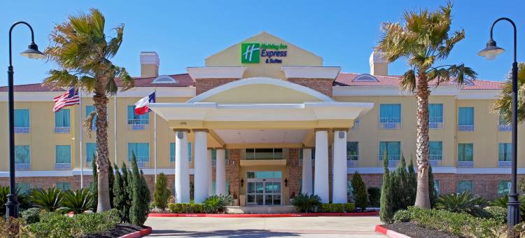 智选假日套房酒店皮尔兰(Holiday Inn Express & Suites Pearland)图片