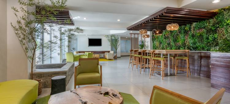 圣胡安棕榈康达多酒店 - 希尔顿启缤精选酒店(Condado Palm Inn San Juan, Tapestry Collection by Hilton)图片