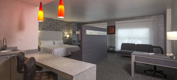 智选假日套房酒店奎雷塔罗(Holiday Inn Express & Suites QUERETARO by IHG)图片