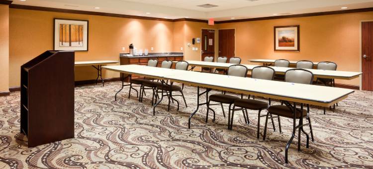 智选假日套房酒店梅森城(Holiday Inn Express & Suites Mason City)图片