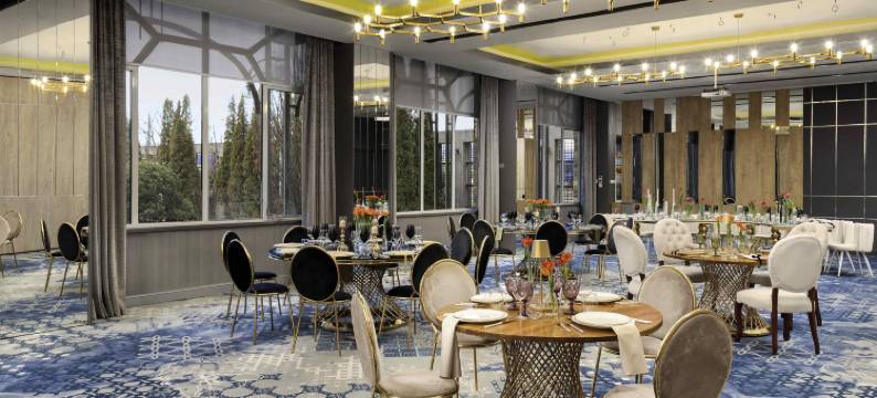 锡比乌机场美居酒店(Mercure Sibiu Airport)图片