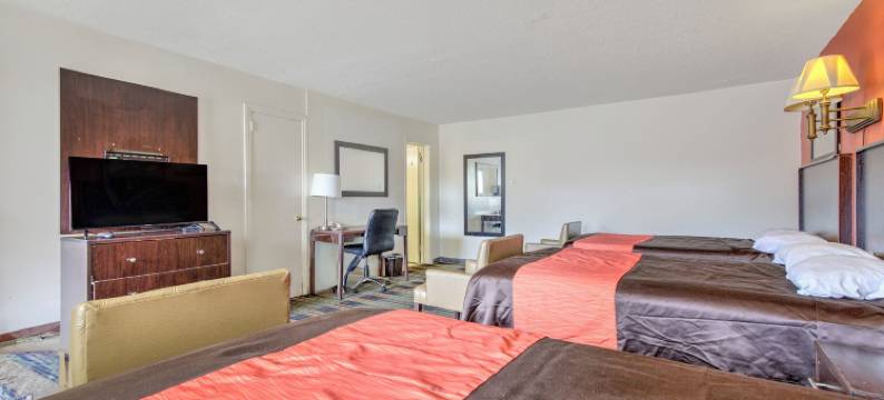 OYO 棕榈叶汽车旅馆(OYO Palm Leaf Motel)图片