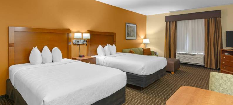 泰奥加美茵斯坦套房酒店(MainStay Suites Tioga)图片