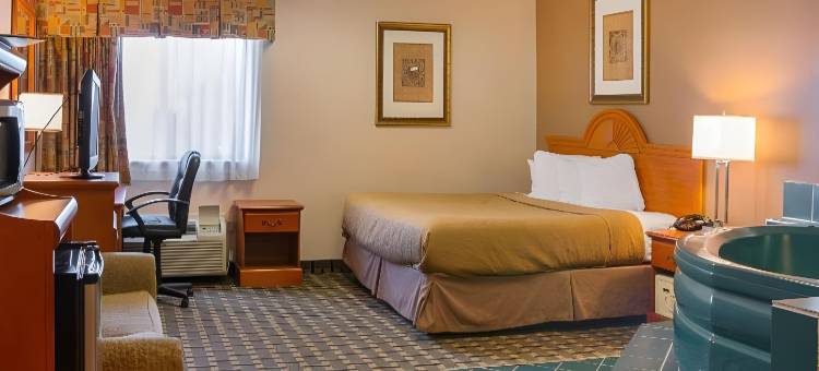 品质酒店及套房底特律大都会机场(Quality Inn & Suites Detroit Metro Airport)图片