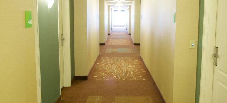 埃芬汉假日酒店(Holiday Inn Effingham)图片