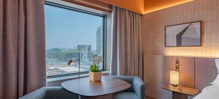 圣保罗伊比拉普埃拉铂尔曼酒店(Pullman Sao Paulo Ibirapuera)图片