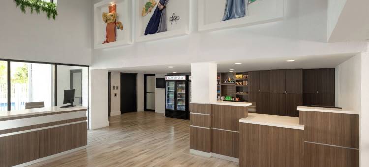 迈哈纳-国际大道, 璀蔓臻选温德姆酒店(Mai Hana Hotel- Intl Drive, Trademark Collection by Wyndham)图片