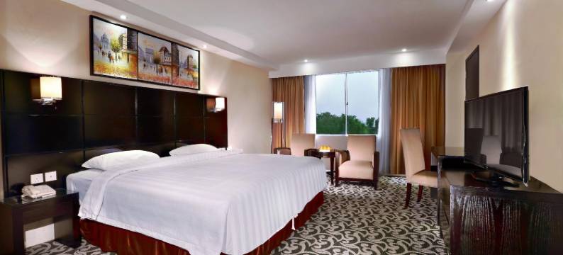 阿斯顿卡里蒙城市酒店(Aston Karimun City Hotel)图片