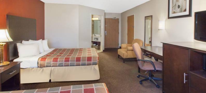 罗穆勒斯底特律机场Travelodge by Wyndham酒店(Travelodge by Wyndham Romulus Detroit Airport)图片