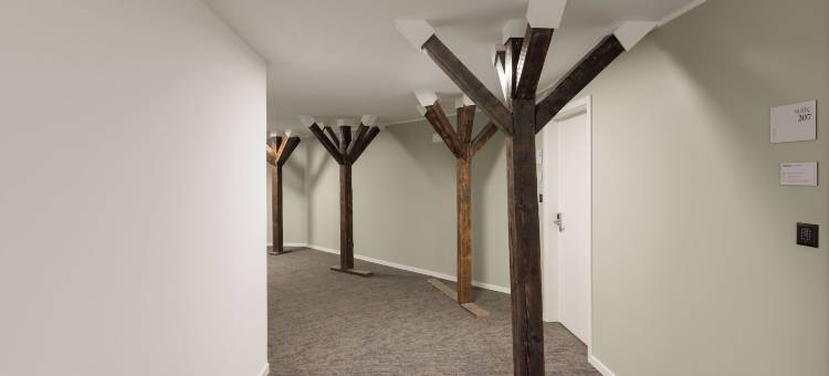 Limehome 凯撒斯劳滕Rummelstr.(Limehome Kaiserslautern Rummelstr)图片