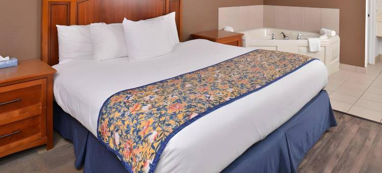 杰克逊美洲最佳价值套房酒店(Americas Best Value Inn and Suites Jackson)图片