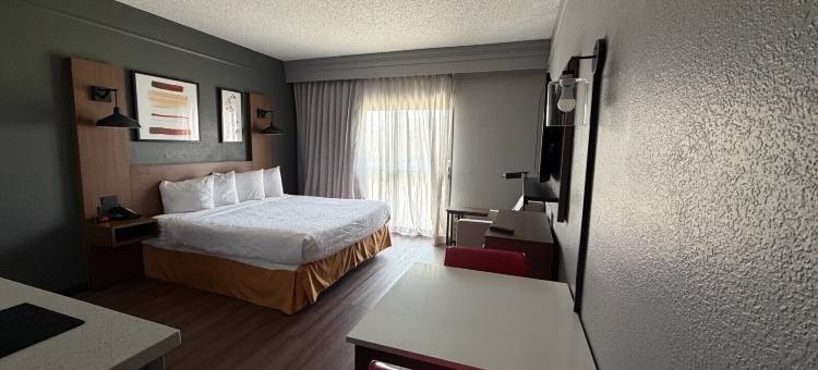 达拉斯Love Field机场浩枫温德姆酒店(Hawthorn by Wyndham Dallas Love Field Airport)图片