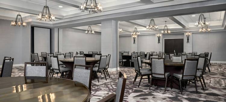 希尔顿大使套房酒店 - 水晶城国家机场(Embassy Suites by Hilton Crystal City National Airport)图片