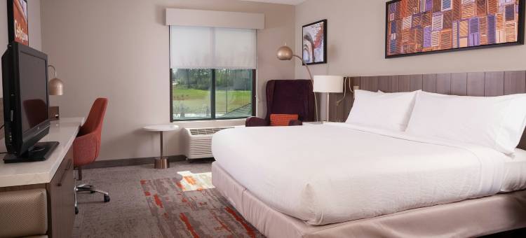 希尔顿花园酒店-亚特兰大机场千年中心(Hilton Garden Inn Atlanta Airport/Millennium Center)图片