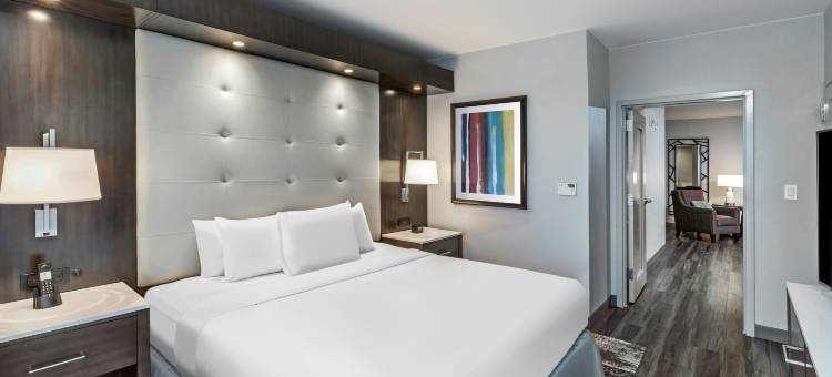 休斯顿能源走廊希尔顿安泊酒店(Embassy Suites by Hilton Houston Energy Corridor)图片