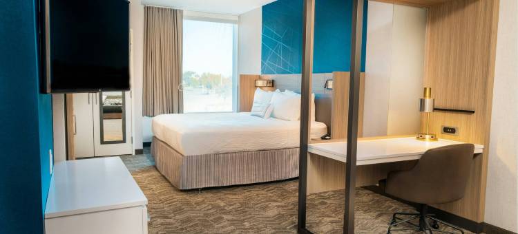 纽瓦克弗里蒙特SpringHill Suites酒店(SpringHill Suites Newark Fremont)图片