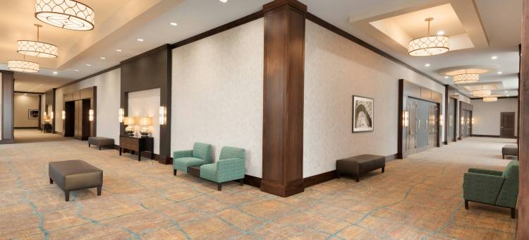 芝加哥内帕维希尔顿安泊酒店(Embassy Suites by Hilton Chicago Naperville)图片