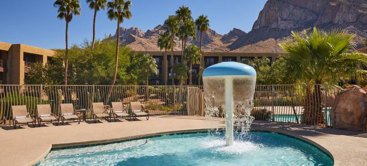 图斯肯征服者希尔顿度假村(El Conquistador Tucson, A Hilton Resort)图片