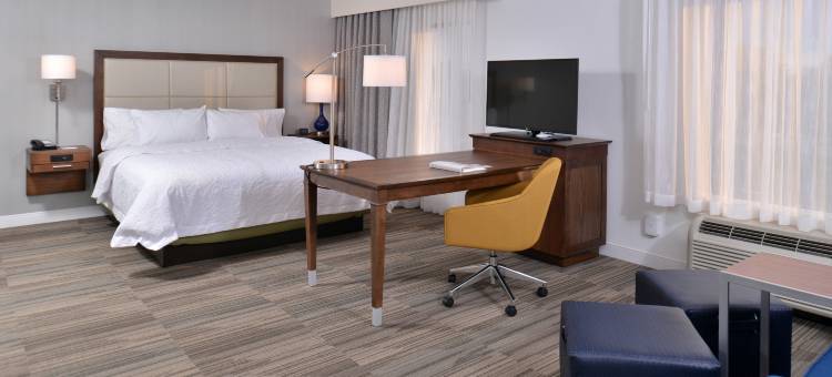 安阿伯西欢朋套房酒店(Hampton Inn & Suites Ann Arbor-West)图片