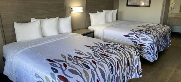 阿拉巴马杰克逊维红屋顶酒店(Red Roof Inn Jacksonville, Al)图片
