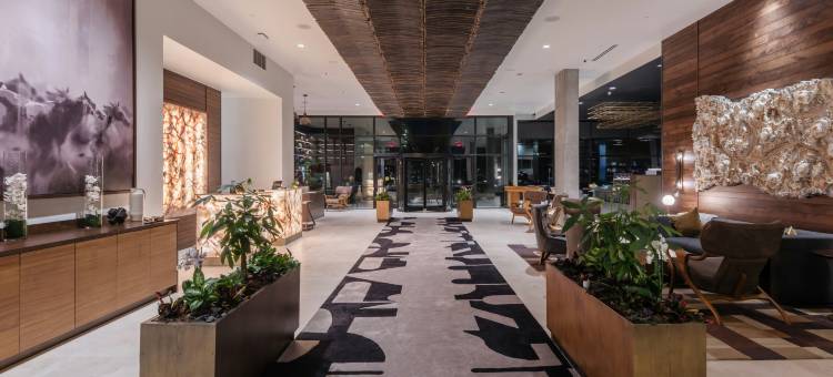 路易斯威尔布尔博纳酒店，希尔顿绮迹精选(Hotel Bourre Bonne Louisville, Curio Collection by Hilton)图片