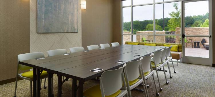 艾利嘉SpringHill Suites酒店(SpringHill Suites Ellijay)图片