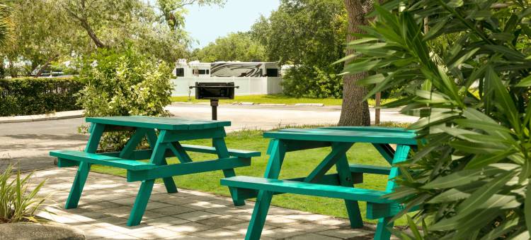 克利尔沃特/中央温德姆戴斯酒店(Days Inn by Wyndham Clearwater/Gulf to Bay)图片