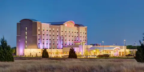 希爾頓花園旅館-達拉斯南阿林頓