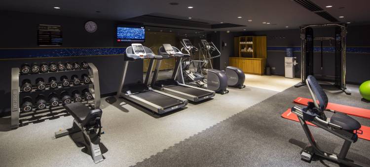 伊斯坦布尔库尔特科伊希尔顿欢朋酒店(Hampton by Hilton Istanbul Kurtkoy)图片