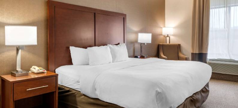 舒适酒店(Comfort Inn)图片