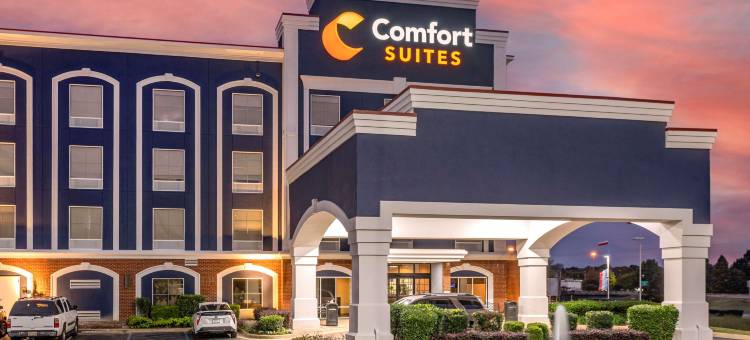奥利夫布兰奇西舒适套房酒店(Comfort Suites Olive Branch - Memphis South)图片