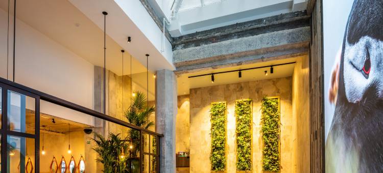 洲际英迪格酒店 布鲁塞尔 - 市区(Hotel Indigo Brussels - City)图片