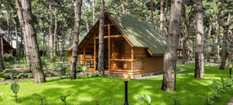 埃尔基派启奥塔卡综合酒店(Kompleks Otdykha Elki-Palki)图片