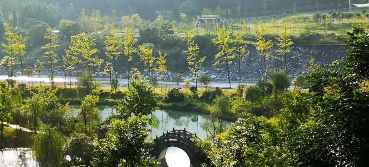 彭州锦泉雅苑避暑圣地特色民宿(彭白路分店)图片