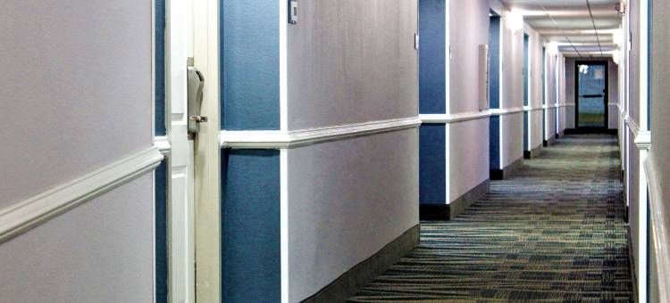 印第安纳波利斯东贝蒙特套房酒店(Sleep Inn)图片