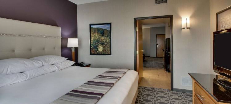 阿尔伯克基北德鲁里套房酒店(Drury Inn & Suites Albuquerque North)图片