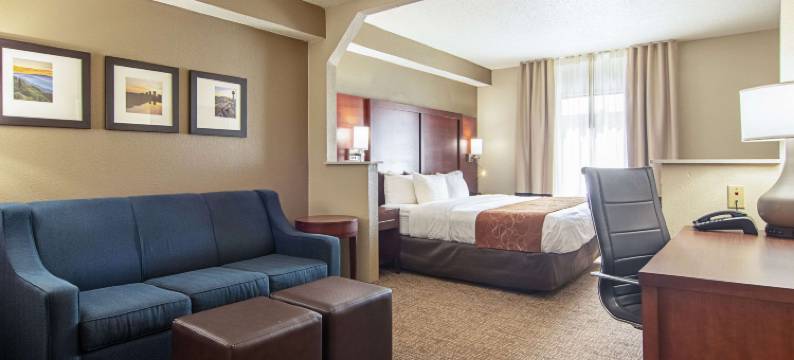 诺克斯维尔机场舒适套房酒店(Comfort Suites Knoxville Airport)图片