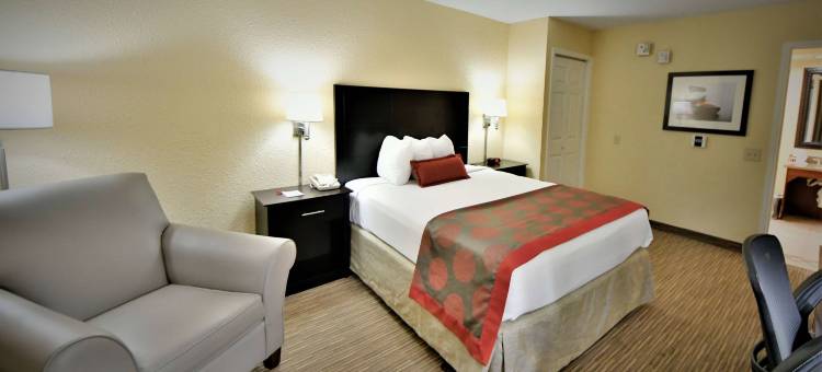 杰克逊维尔华美达酒店及会议中心(Ramada by Wyndham Jacksonville Hotel & Conference Center)图片