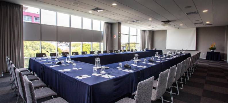 利马市温德姆科斯塔朗晴酒店(Costa del Sol Wyndham Lima City)图片