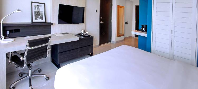 韦拉克鲁斯希尔顿逸林酒店(DoubleTree by Hilton Veracruz)图片