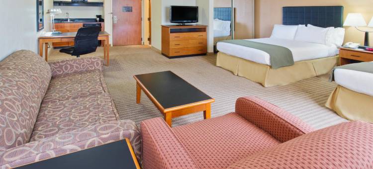 智选假日套房酒店欧文DFW机场北(Holiday Inn Express & Suites Irving DFW Airport North)图片