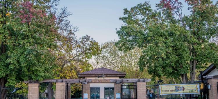 托皮卡-沃纳梅克路-I-70速8酒店(Super 8 by Wyndham Topeka/Wanamaker RD/I-70)图片