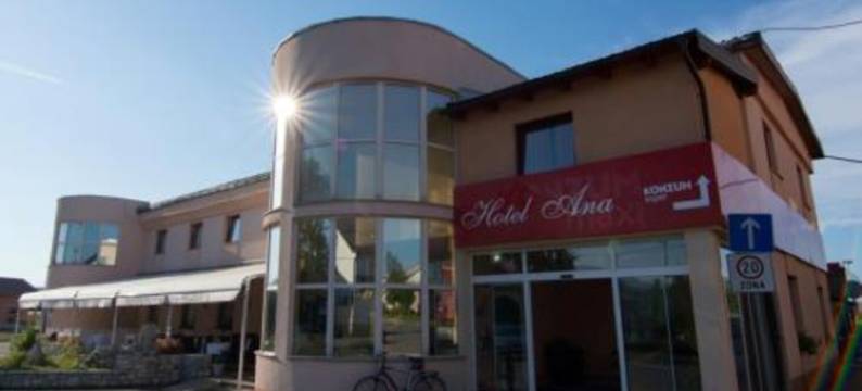 安娜酒店(Hotel Ana)图片