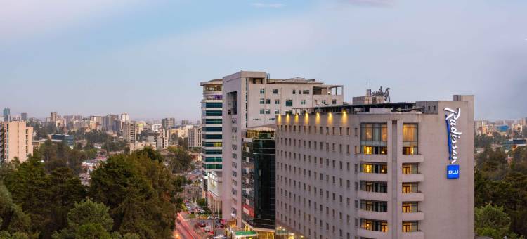 亚的斯亚贝巴丽笙酒店(Radisson Blu Hotel, Addis Ababa)图片