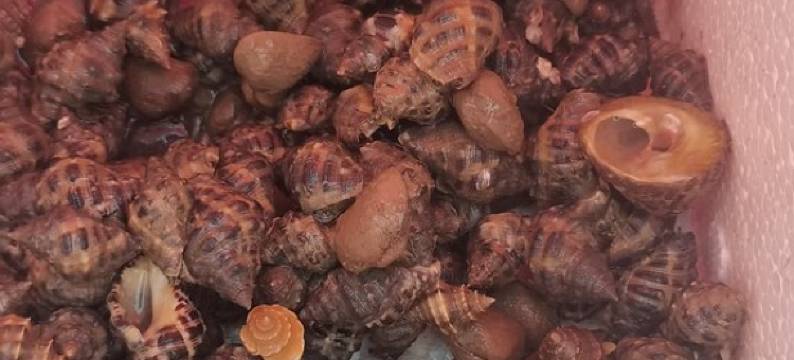 地铁站的蛙鸣度假别墅(鹿西隧道分店)图片