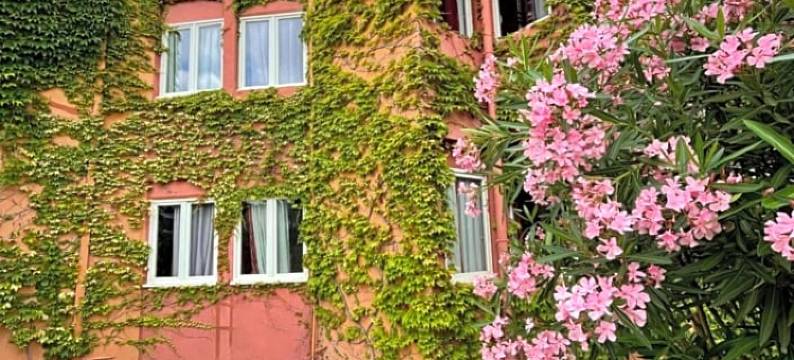 热带酒店(Tropic Hôtel)图片