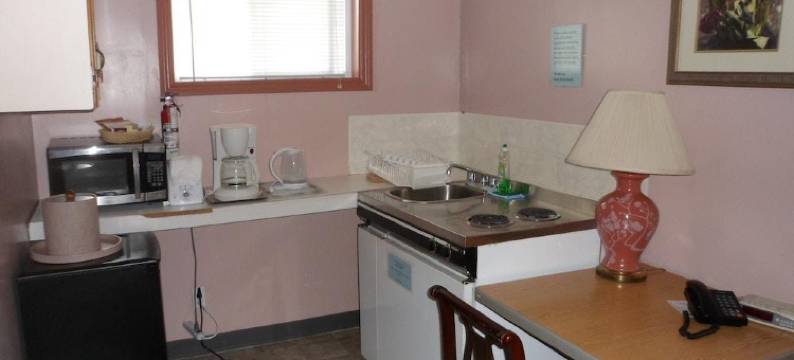 银桦树汽车旅馆(The Silver Birch Motel)图片